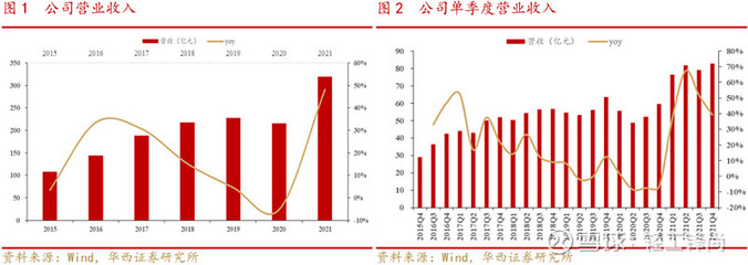 太陽紙業 業績穩健增長，林漿紙一體化戰略深化未來可期